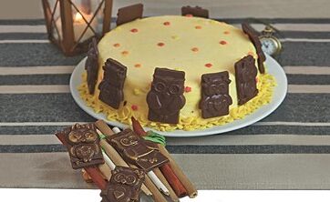 Stampo in silicone per cioccolatini per realizzare choco tags con gufi divertenti