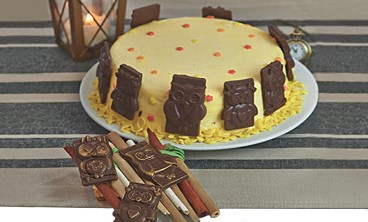 Stampo in silicone per cioccolatini per realizzare choco tags con gufi divertenti