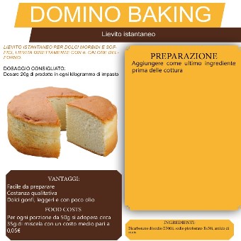 Confezione di Lievito chimico istantaneo in polvere da 1 kg