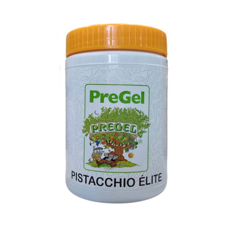 Pasta Pistacchio Stabilizzata 1 kg Pregel