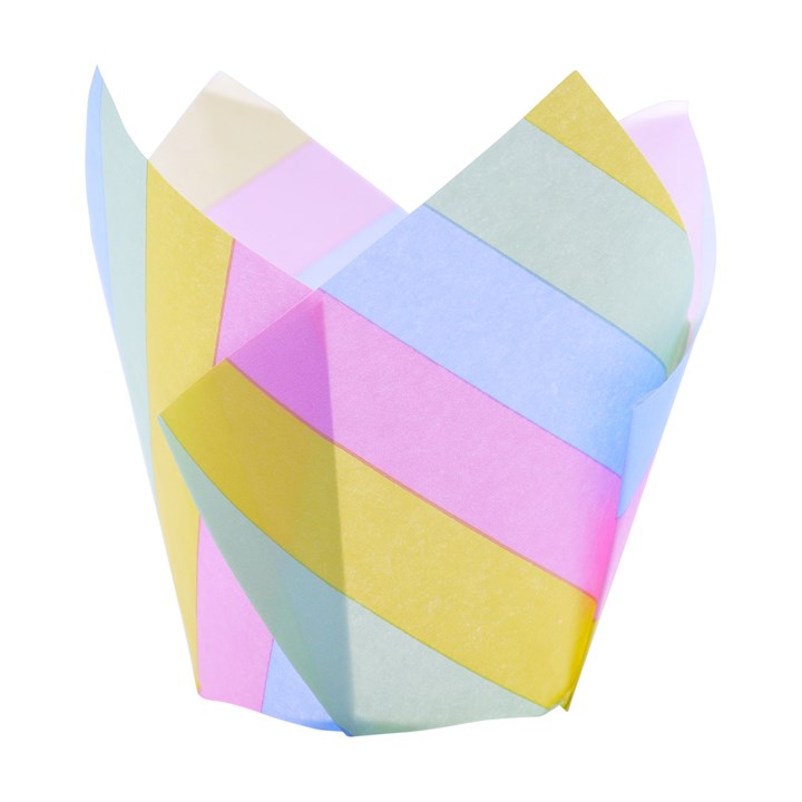 Pirottini Tulip Rainbow 1