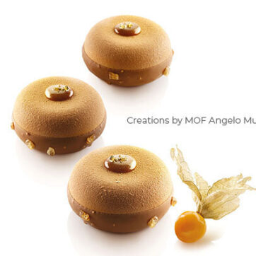 Stampo in Silicone Ode50 - n.8 ø55 H25MM